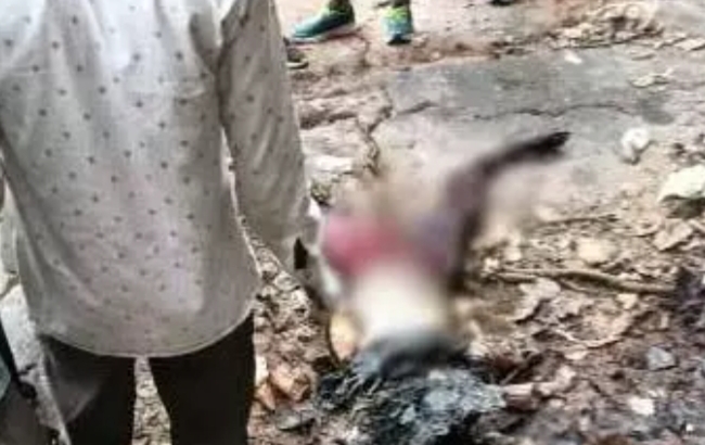 छत्तीसगढ़ के इस वाटरफॉल में मिली युवती की सड़ी-गली लाश